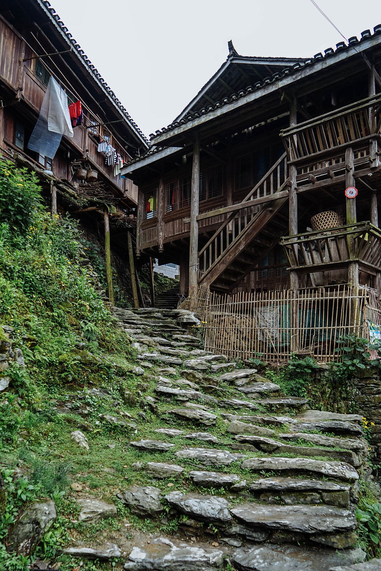 广西美丽的梯田太多,我打赌你一定没去过这里,他甚至漂亮的侗寨