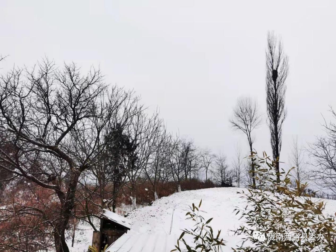 乡村雪景最迷人