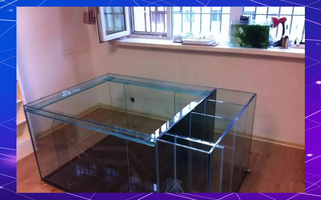 地缸发烧之旅:打造专业鱼缸的全程记录