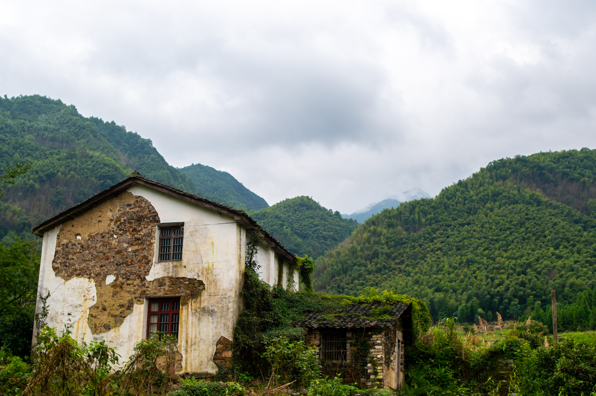 安徽农村景色图片