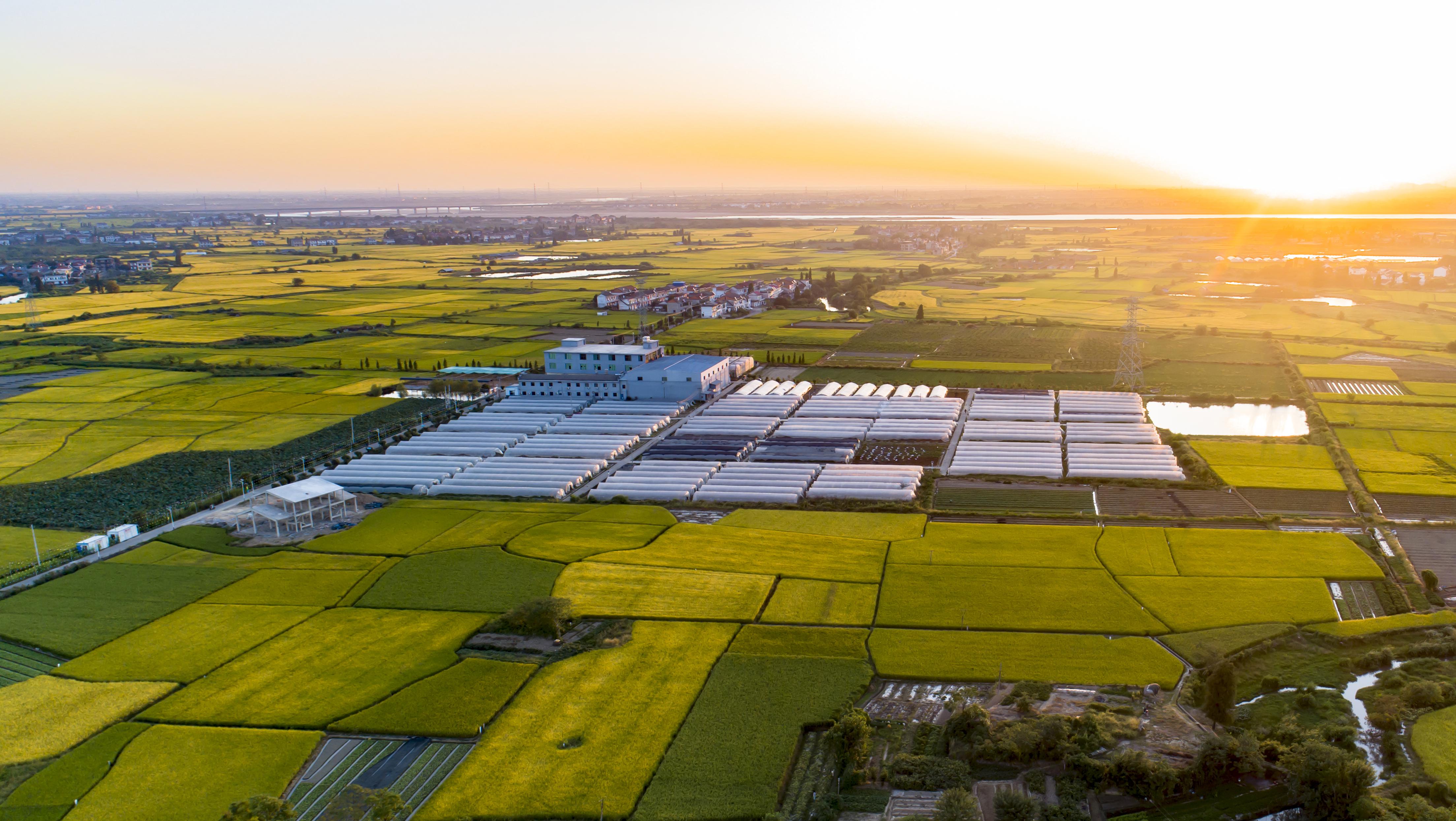 江西省农业去年交出亮眼成绩单粮食总产438.5亿斤