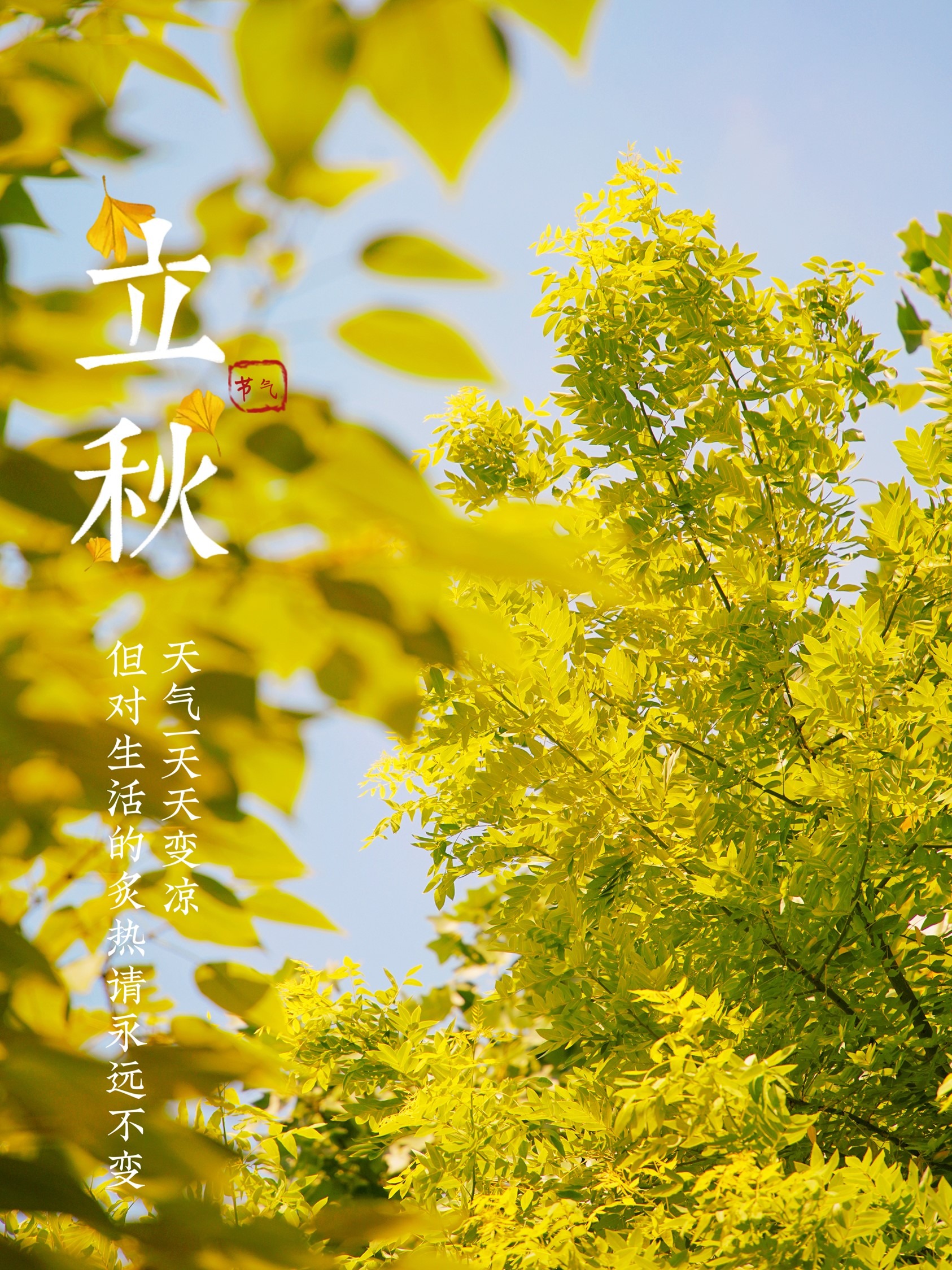 衡阳雁峰的秋天美如画
