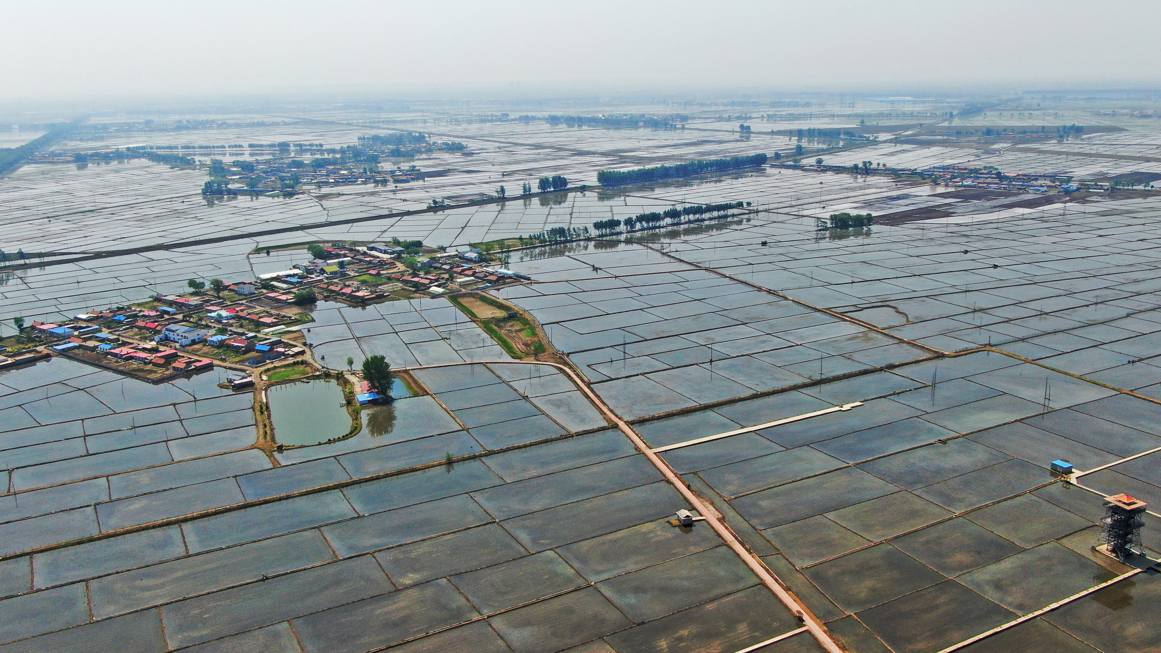 黑土地上播种忙 辽宁农作物播种进度近八成
