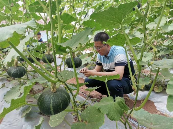 邱鹏程:科技护航 坚守"粮"心