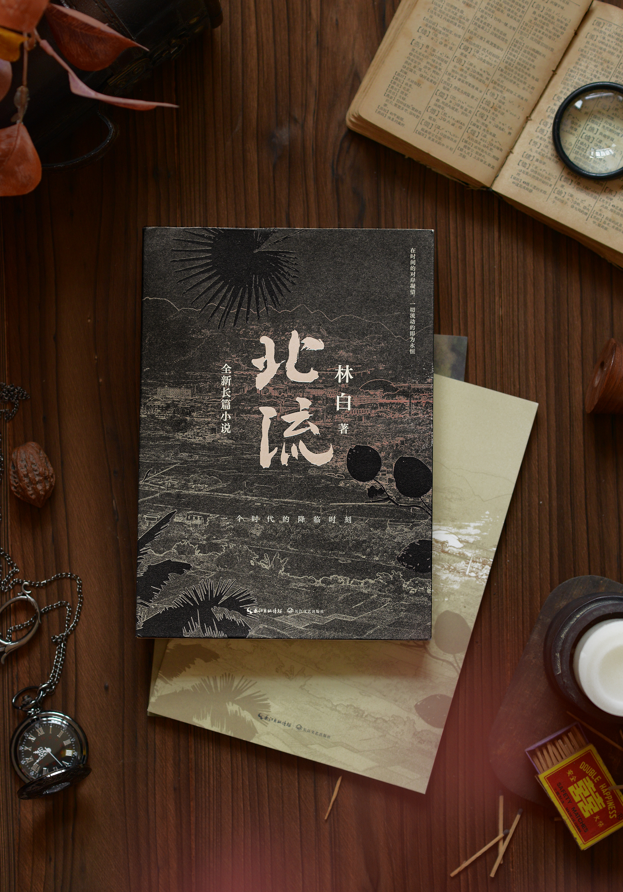 林白沉潜八年后推出全新长篇小说《北流》