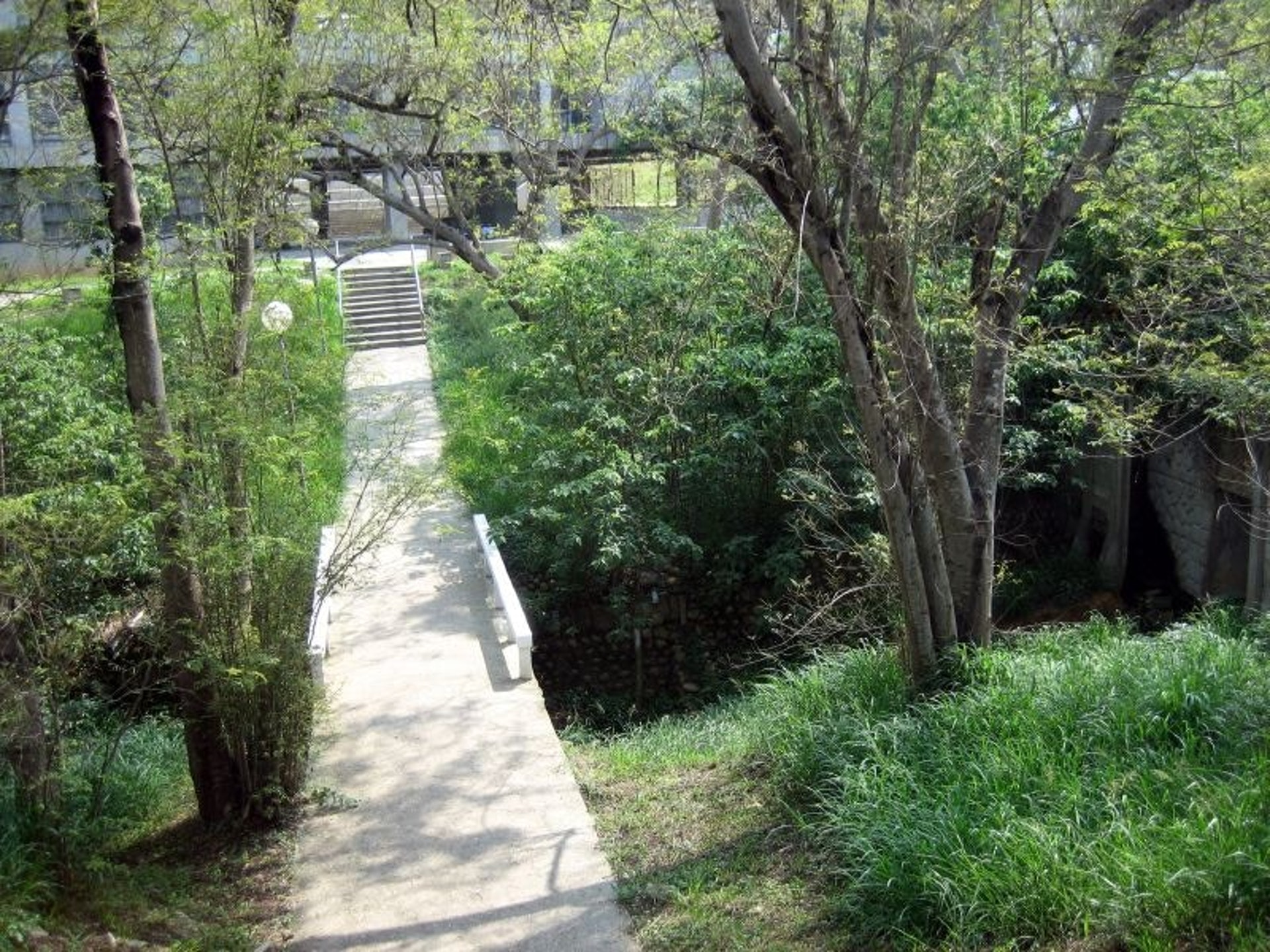 台湾东海女鬼桥