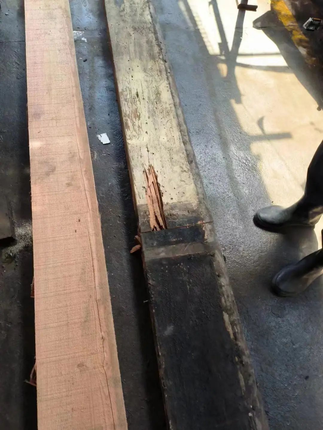 白蚁蛀空老房梁,修缮及时解危急