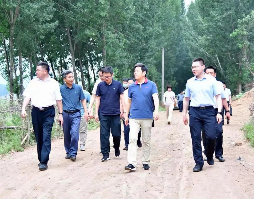 孙延文到新安调研防汛工作