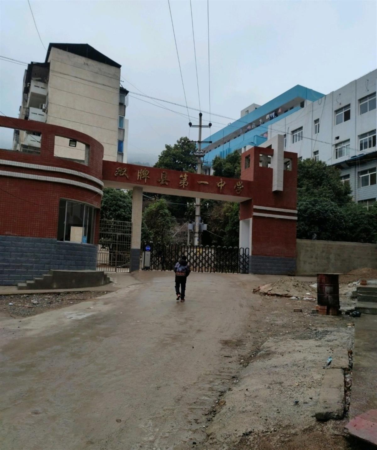 被犬咬伤处理_学校回应校内大型犬_养昆明犬公犬好母犬好