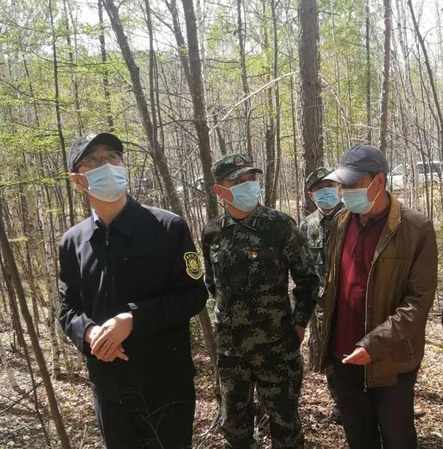 大兴安岭林业集团公司副总经理刘志 深入塔河林业局调研指导工作