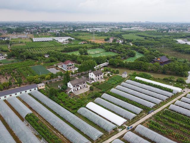 扬中南湖农场图片