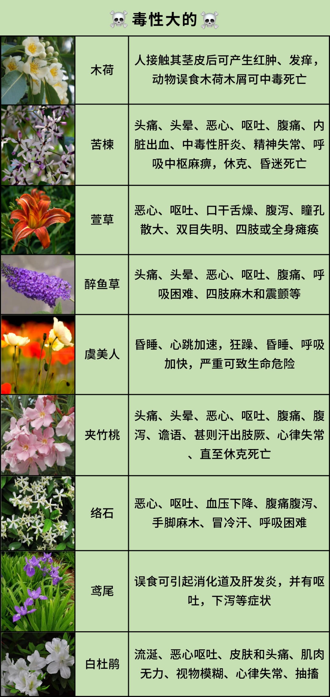 这些常见花卉植物有毒!千!万!别!碰!