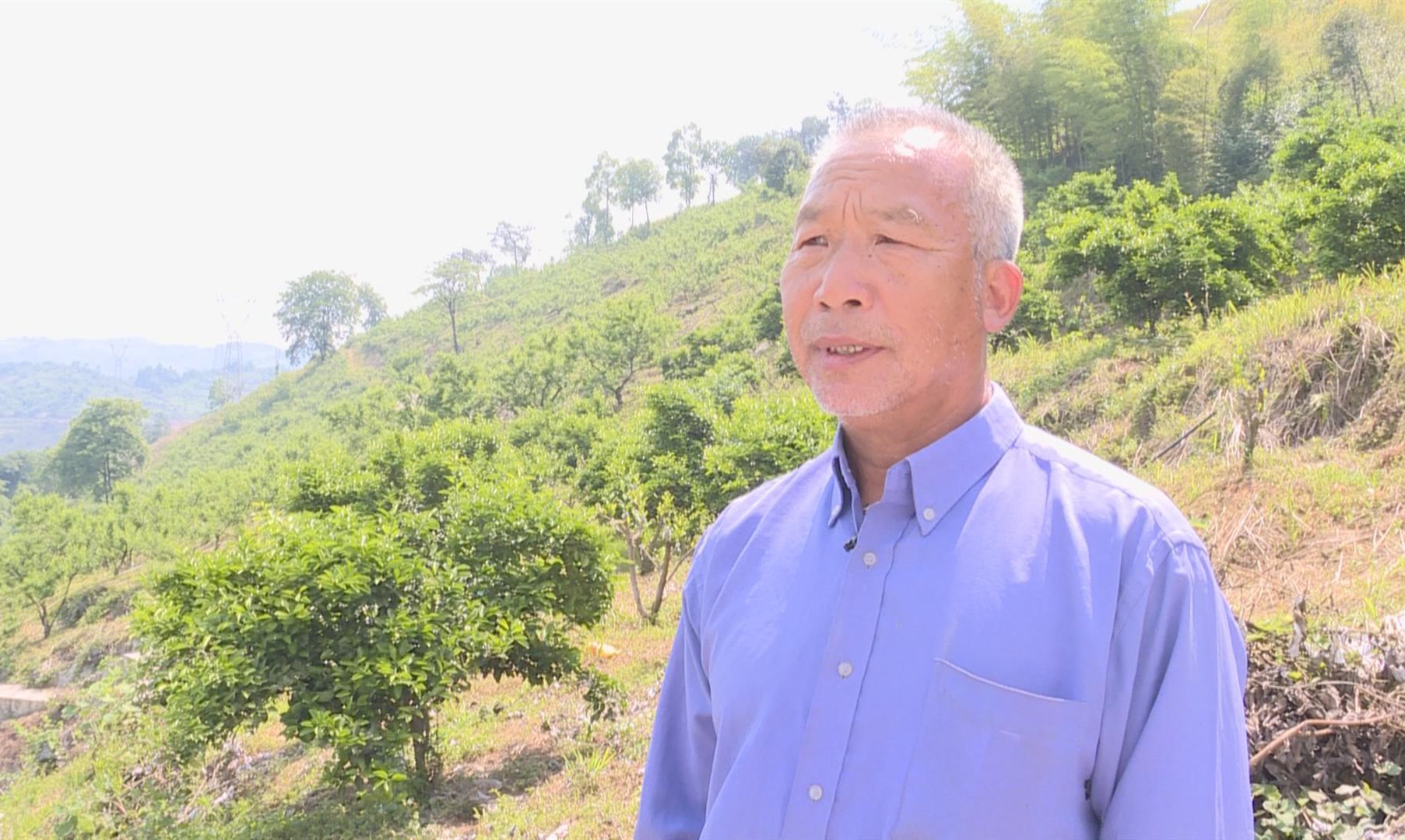 陈土 baijiahao.baidu.com