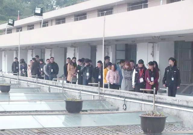 参观瓯海区看守所:廉政教育的深刻启迪