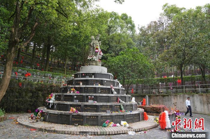 让生命"终归"自然 生态葬如何走得更远?