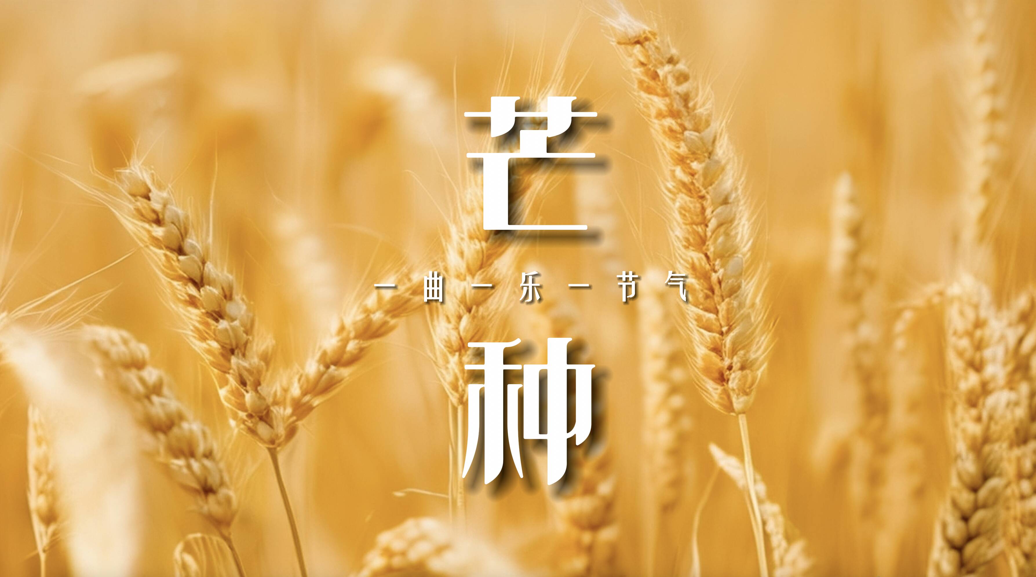 一曲一乐一节气·芒种|是播种也是收获 听小提琴奏响"最夏天"的滋味