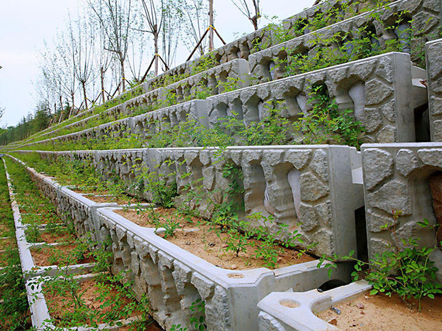 江苏鱼巢式生态护坡框应用