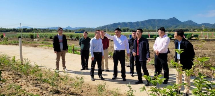 龙门:市农业农村局到龙门县龙田镇调研农村一二三产业融合发展示范镇