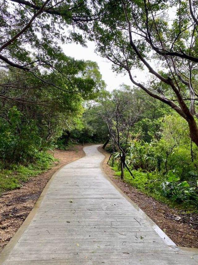 變好走了!基隆情人湖公園環山步道抗溼防滑更友善