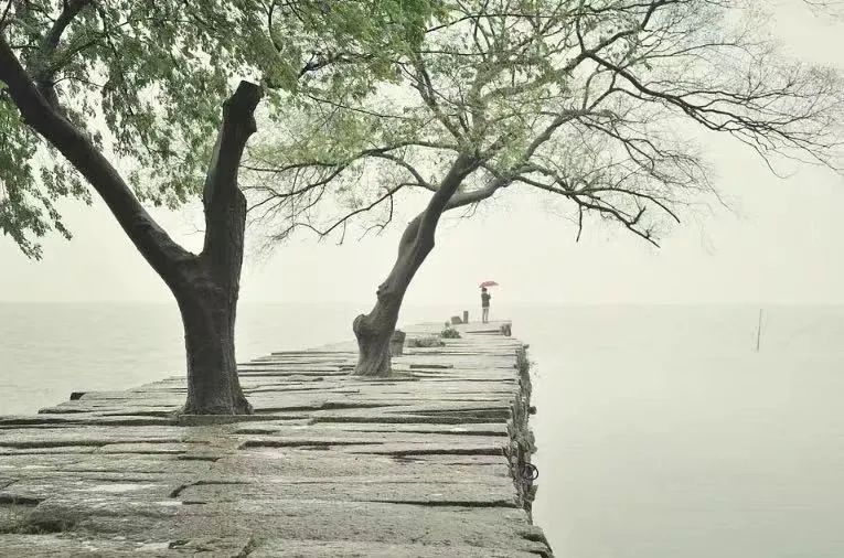 落雨,聽禪(太美了!