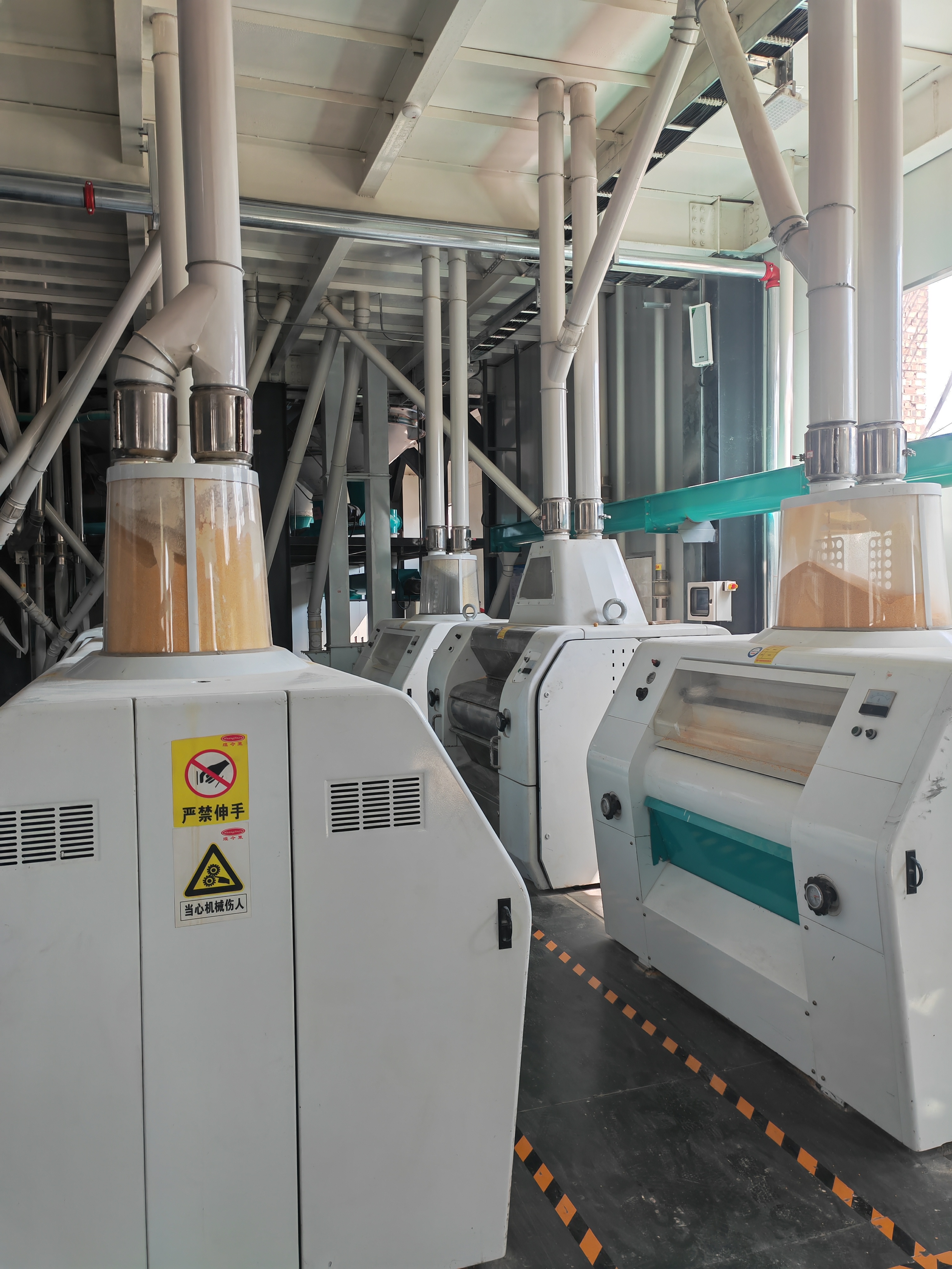 自动调节玉米面粉机械设备 现代智能化200吨大型玉米粉生产线