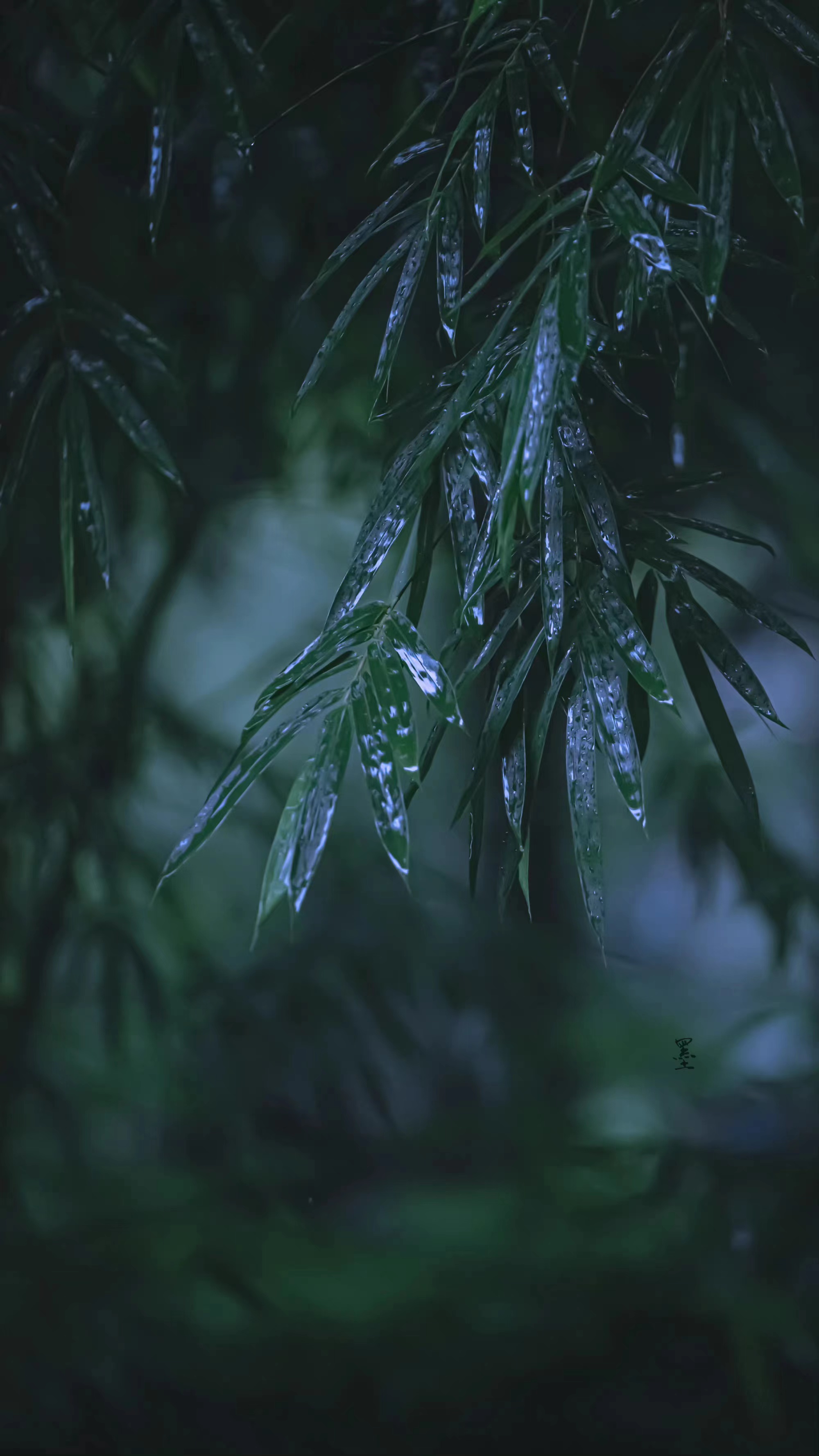 四首唯美秋雨詩詞,秋雨冷清秋,清秋對雨眠