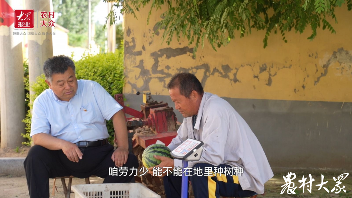 镇村田长话耕保|张洪华:洼地变良田,更应被守护