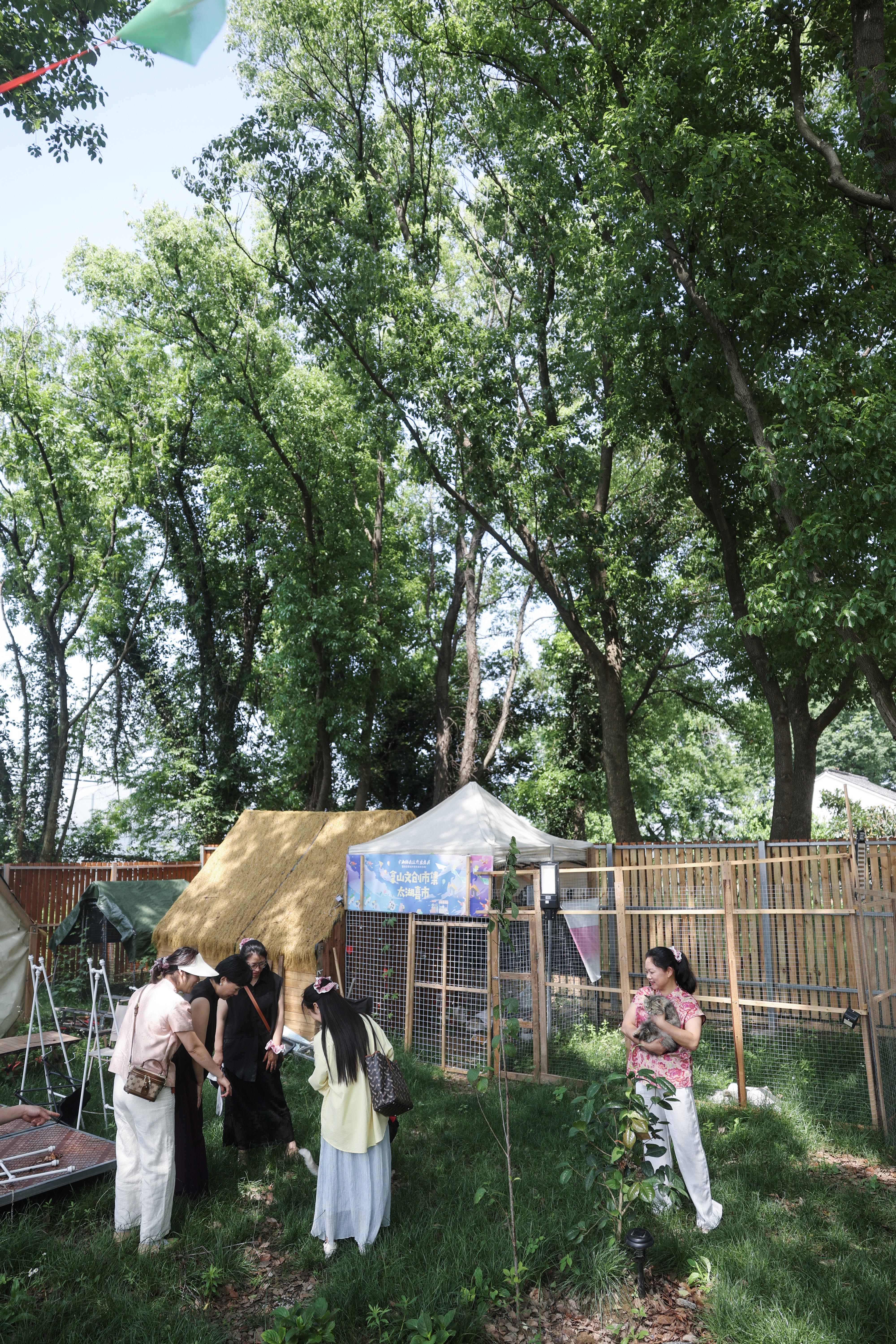 浙江湖州：打造南太湖青创平台 助力特色文旅发展 - 图9