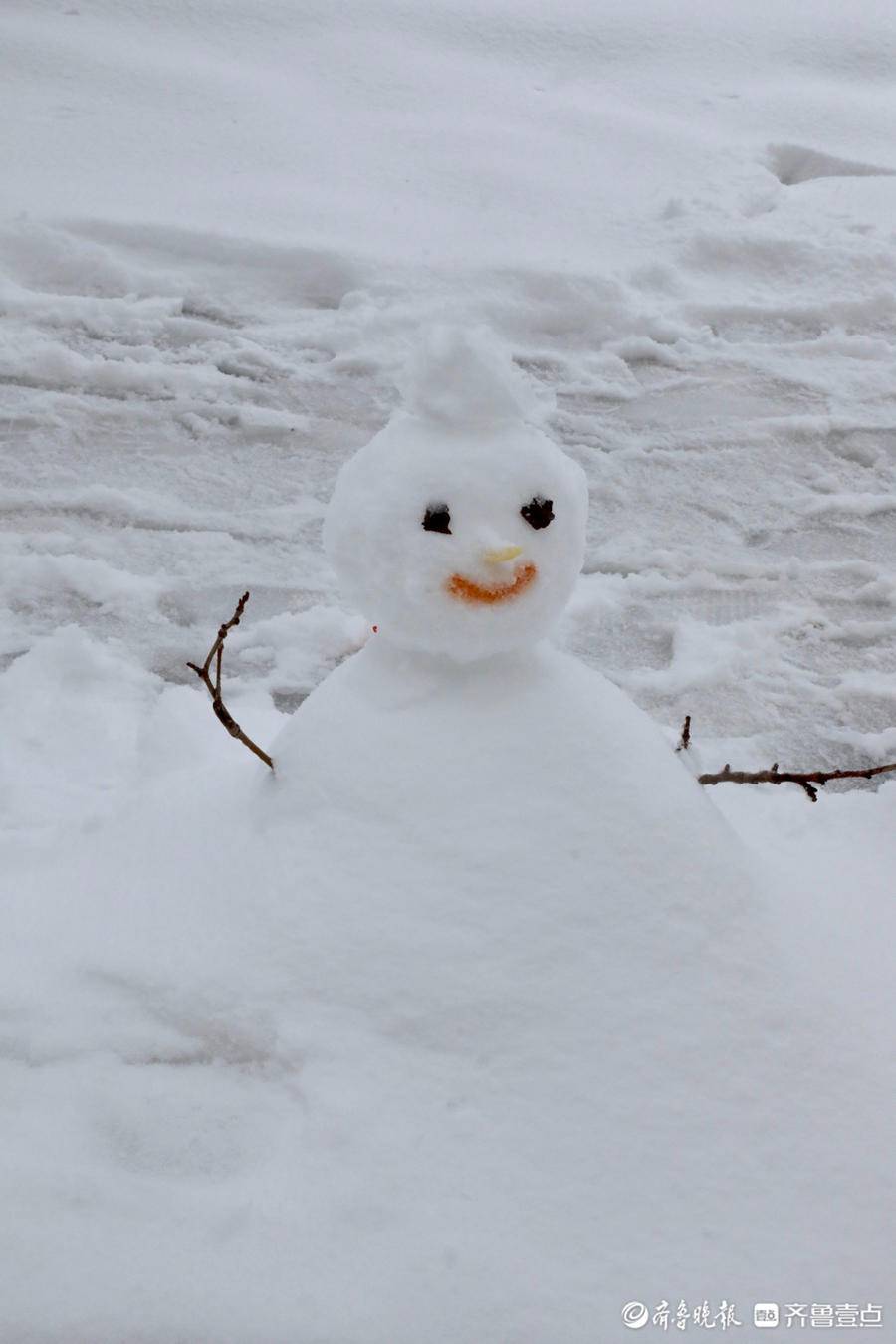 济南初雪,山艺校园里出现了各种可爱的小雪人,萌翻了