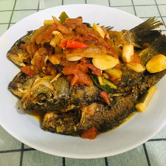 番茄炖鲫鱼,酸香味浓,鲜美下饭