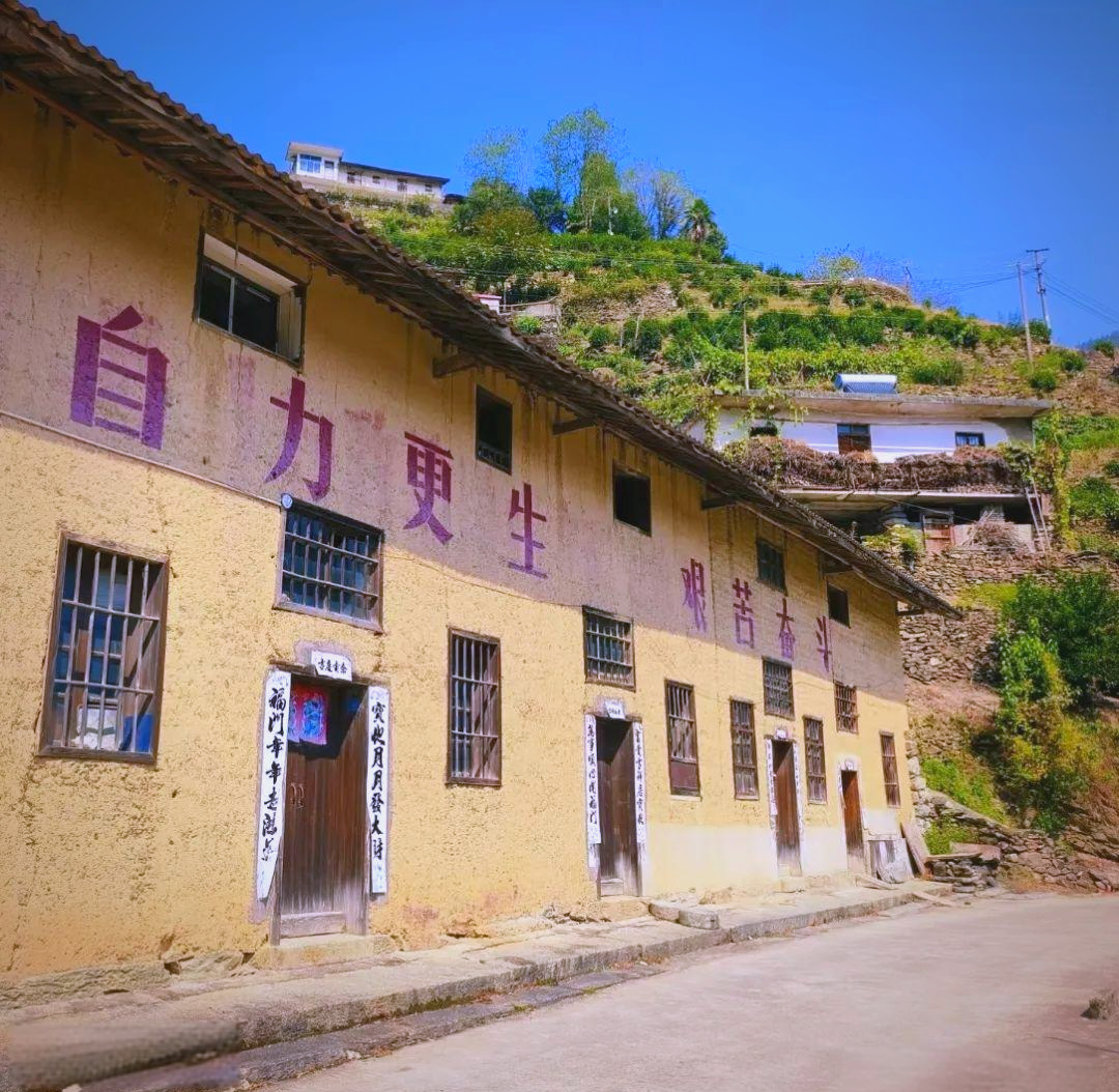 梯田与古树相伴,蜈蚣岭的独特魅力