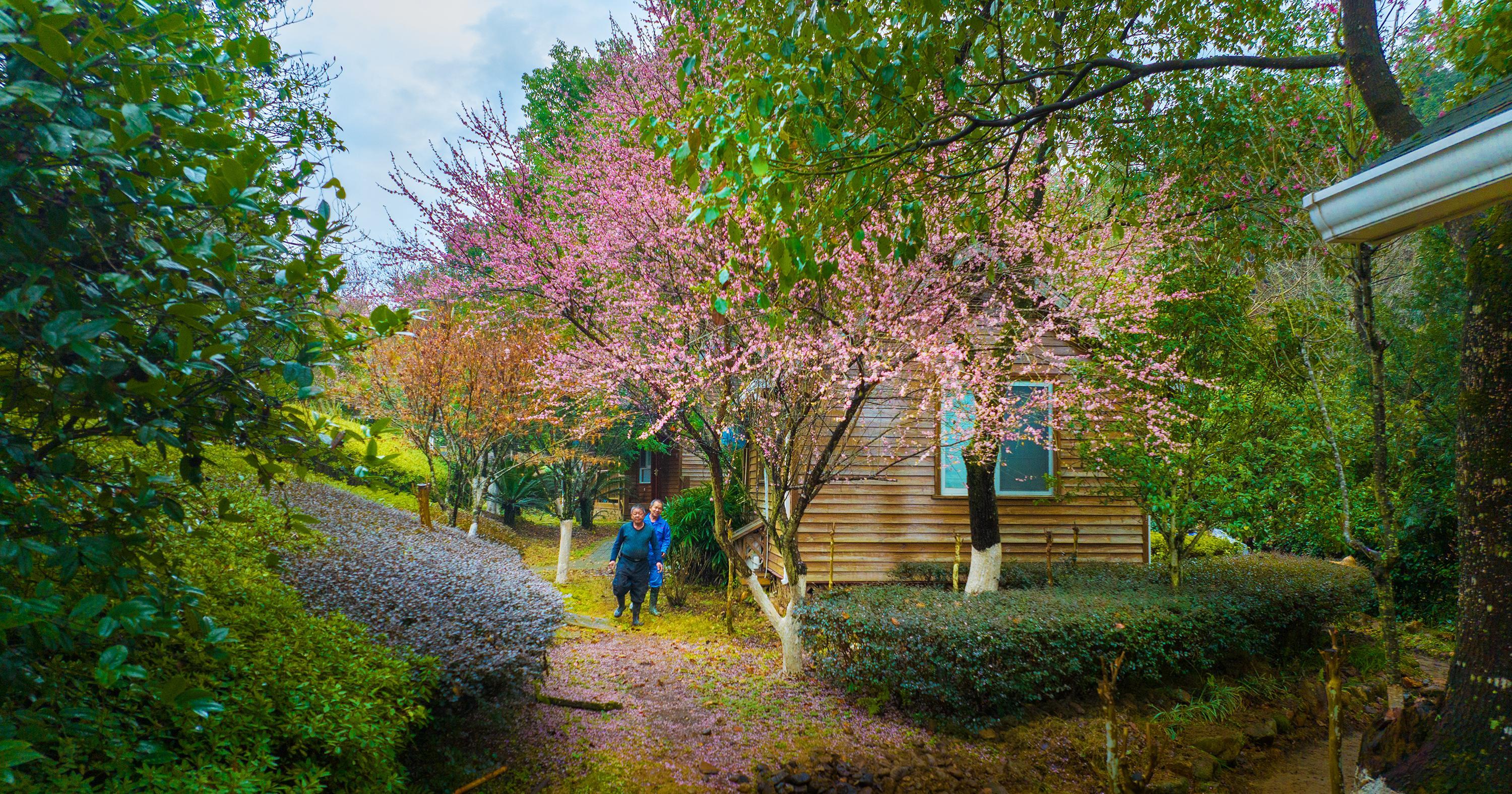 沙县马岩森林康养基地