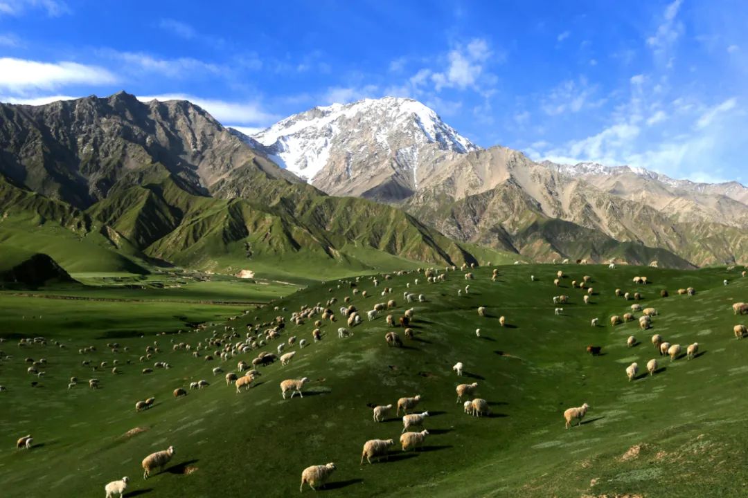 "开山"喽!和田这个景区绝对让你心动