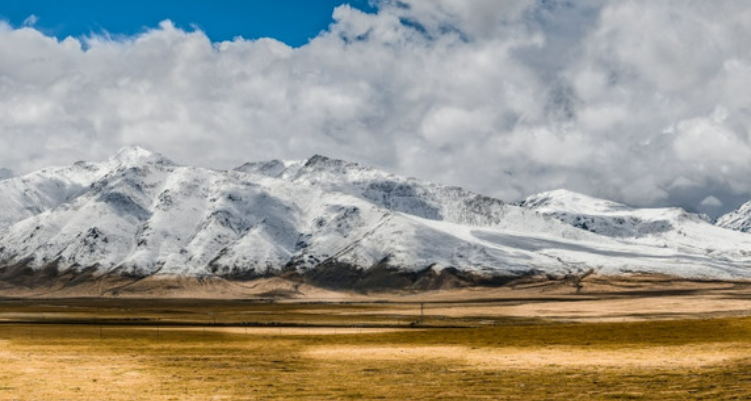 z917列车沿途风景