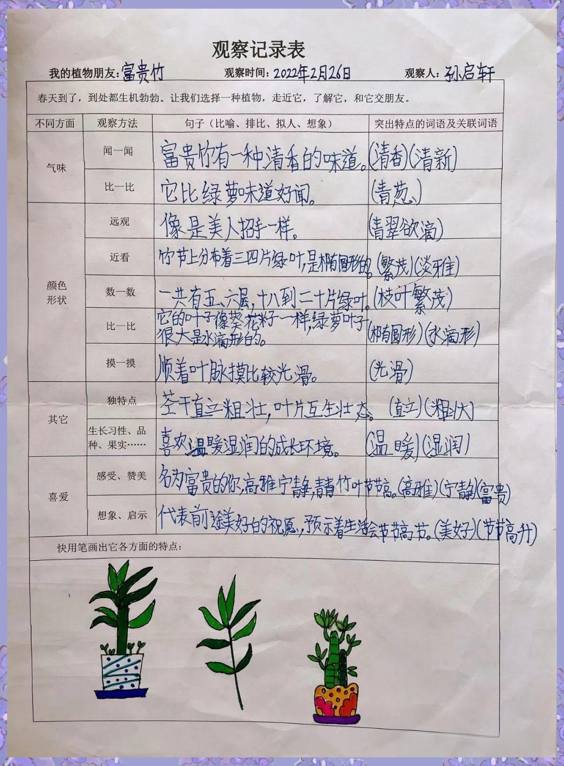 宝小弘毅班植物观察记录表分享
