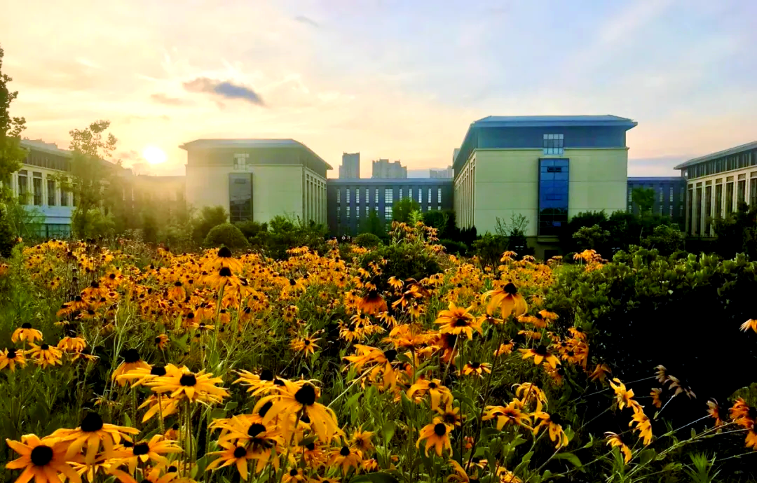 金融学院财经类大学_财经大学金融系学啥呢