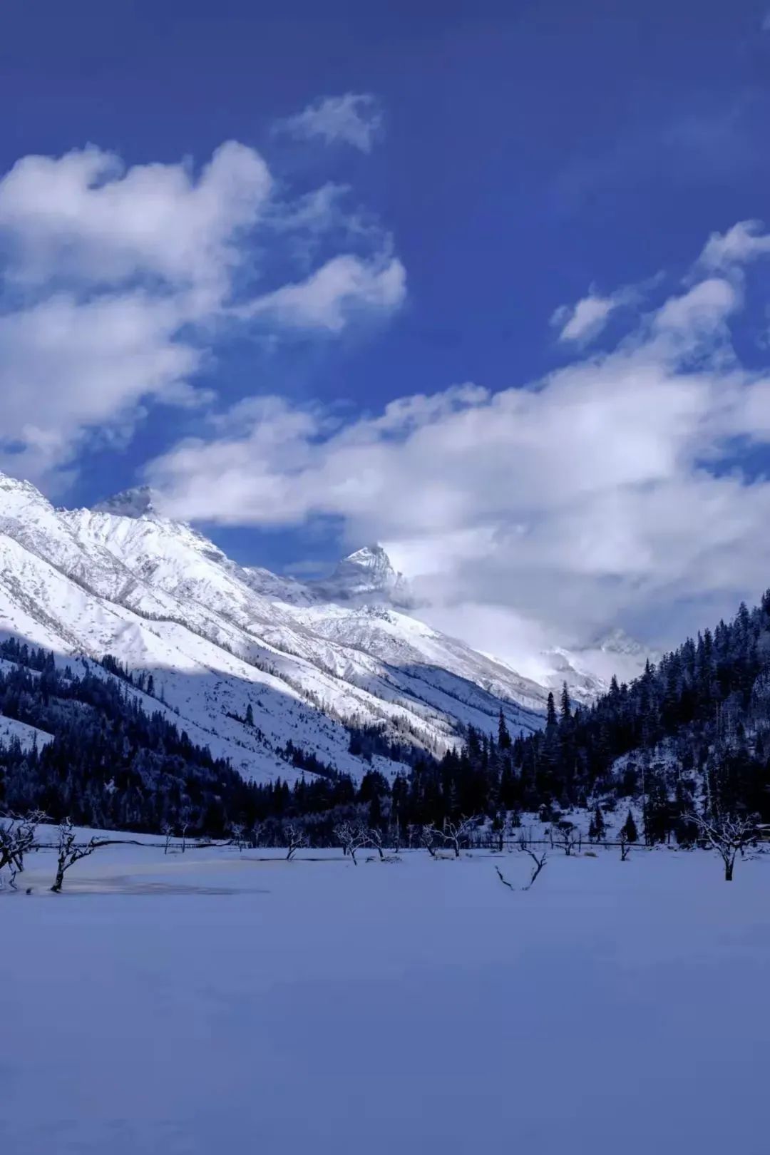 绝美雪景图图片