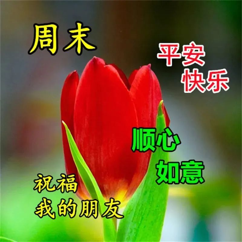 4月29日周六早上好,温馨唯美祝福语图片