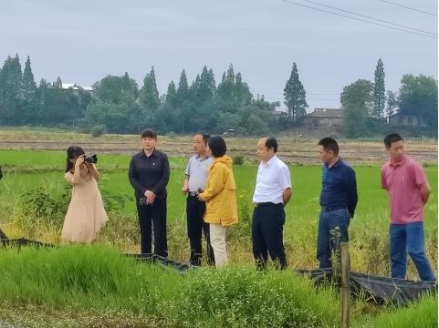 南县华阁镇:"四级"联动 打好软弱涣散整顿"翻身仗"