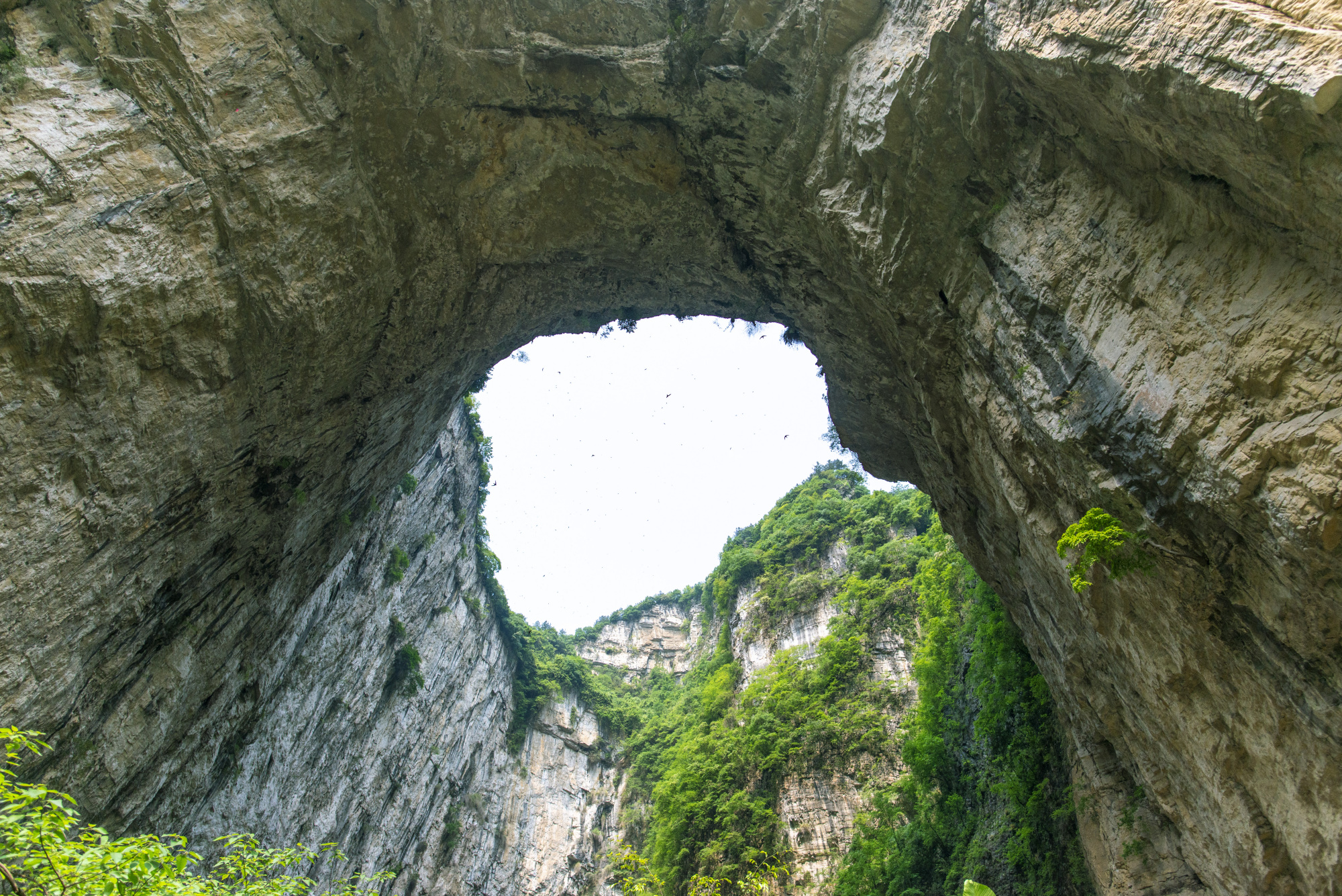 贵州首个世界地质公园,拥有专属博物馆,同名溶洞是中国溶洞之王