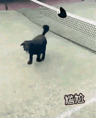 看就知道是亲生父女 第8张