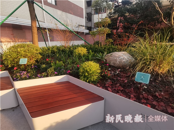 吴淞路天桥旁多了座"街角花园":停一停脚步,在历史和自然之间休憩