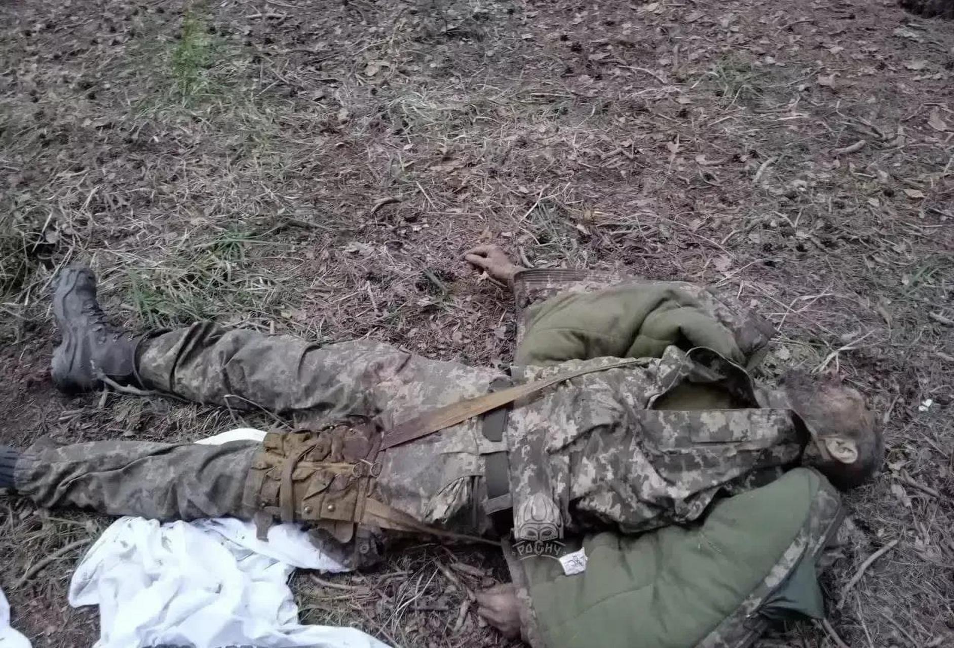 一位年轻的乌克兰士兵在战斗中牺牲.