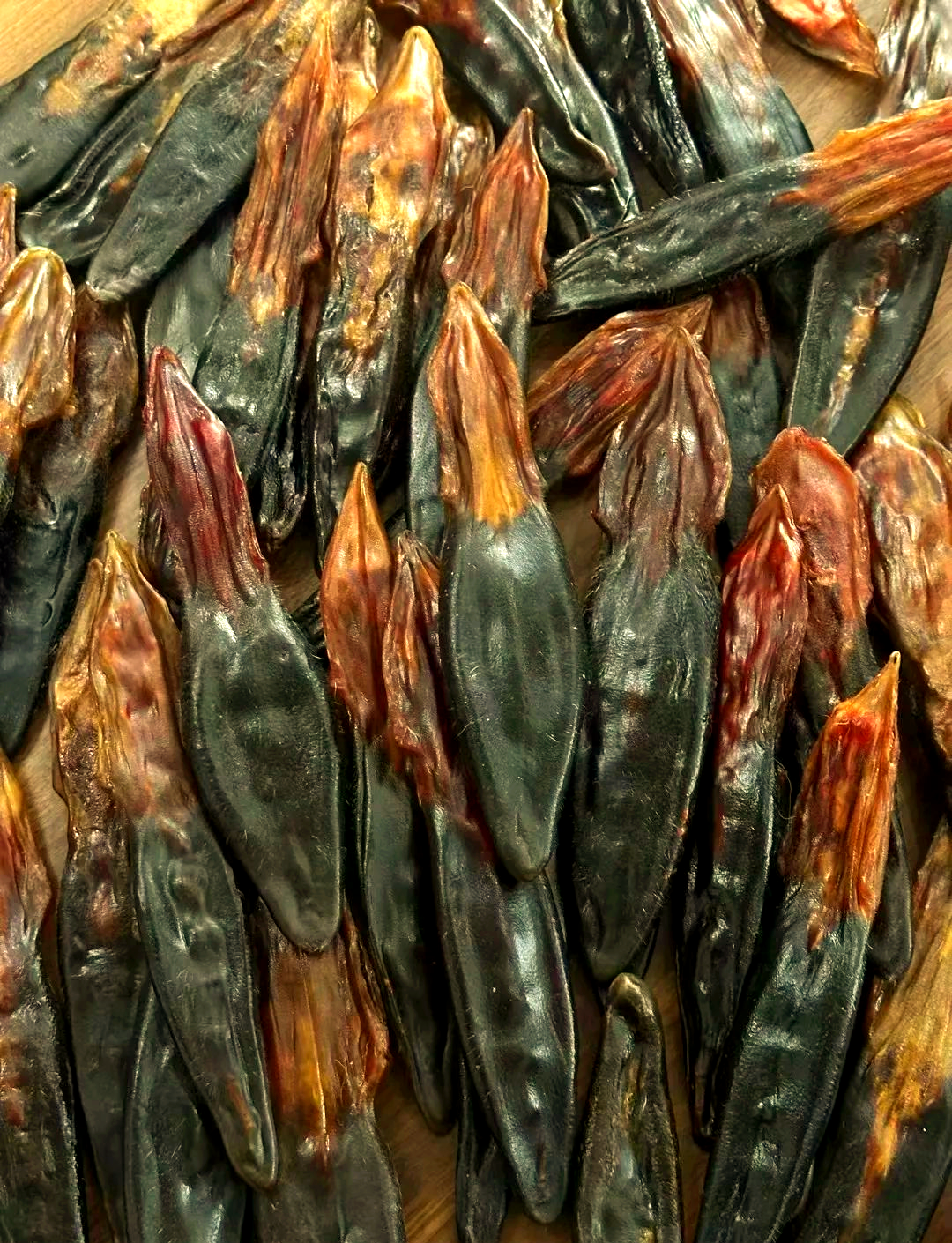 梅花鹿鹿尾巴:全面健康守护者