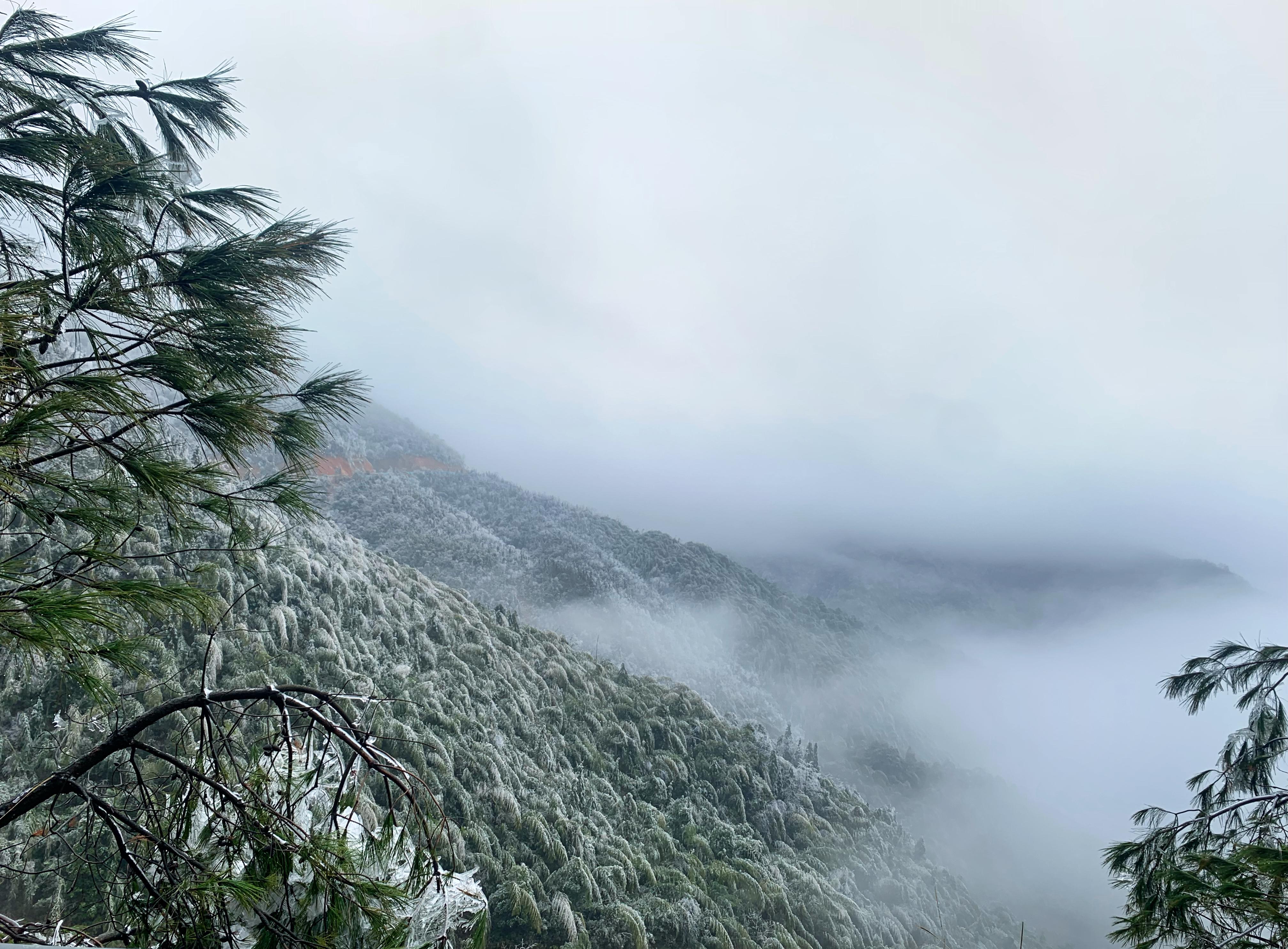 阳明山雾凇