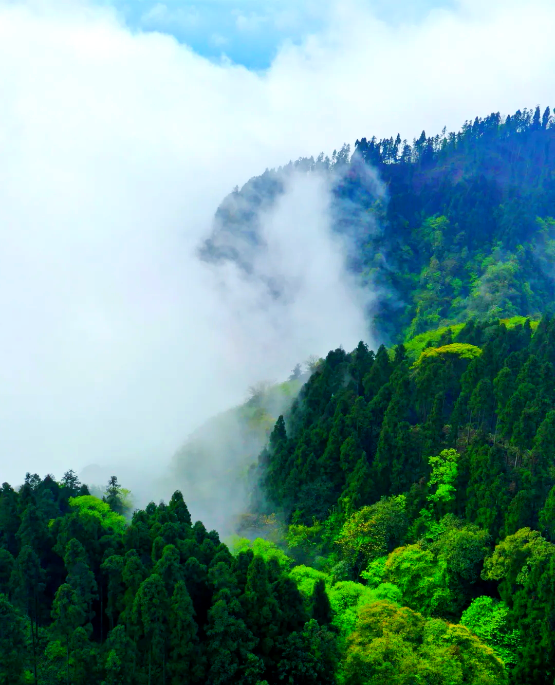 初冬玉屏山:探寻不一样的仙境美景