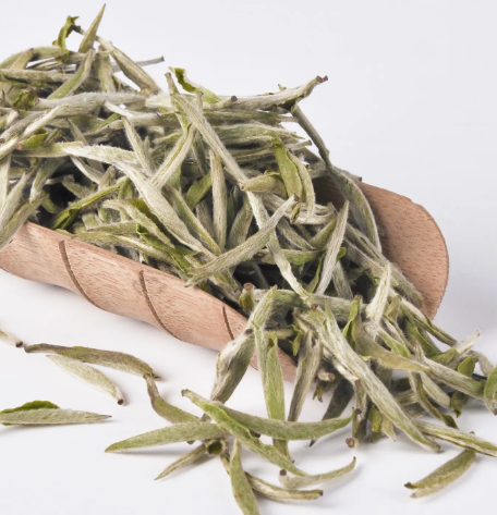 白茶,白叶茶(黄叶茶)之间的区别
