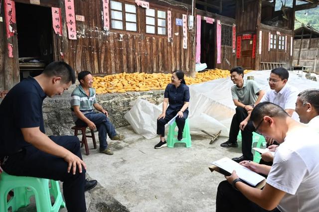 开阳县委书记孙昕到花梨镇调研