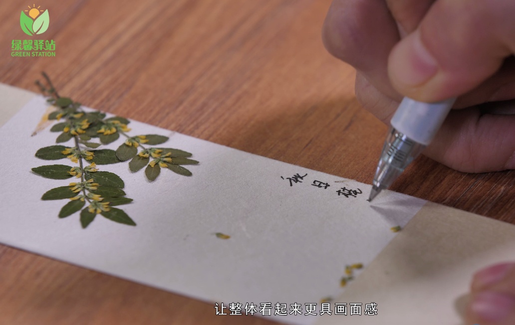 做一枚"桂花"书签,锁住秋日专属味道