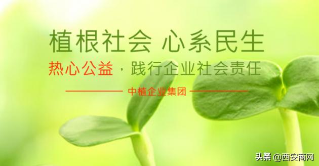 中植集团是国企吗(中植集团企业有限公司)